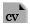 CV
